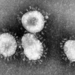 Difference Between Coronavirus and SARS