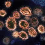 Difference Between Coronavirus and Covid 19